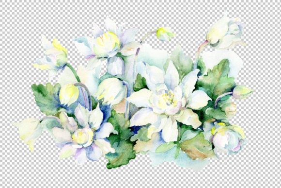 Aquarelle White Bouquet Watercolor Set Illustrations