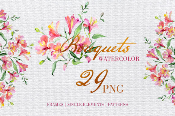 Beautiful Alstroemeria Bouquets Watercolor Png Illustrations