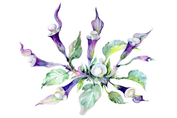 Bouquet Melody Piano Watercolor Illustrations