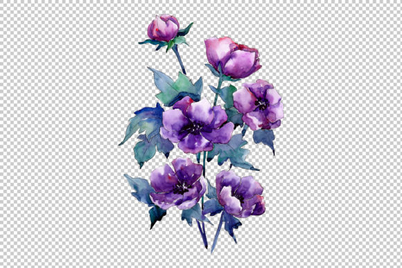 Bouquet of Purple Poppy Watercolor Set Illustrations