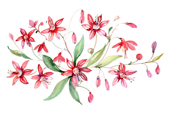 Bouquet Red Alley of Glory Watercolor Illustrations