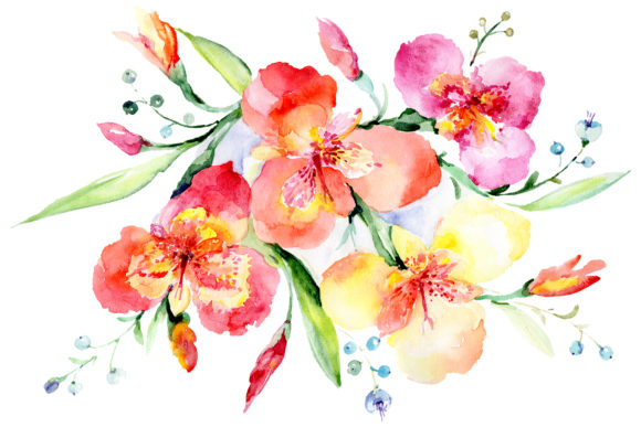 Bouquet Red Night Mystery Watercolor Illustrations