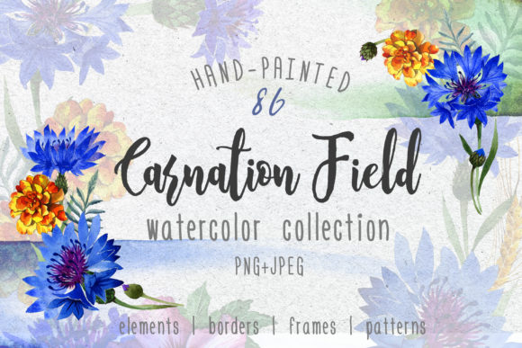 Carnation Field Watercolor Set Illustrations