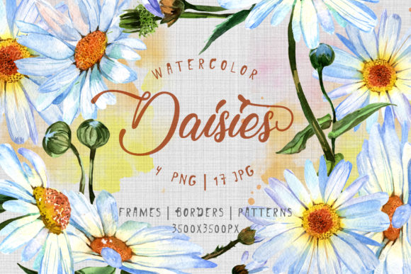 Cool Watercolor Daisies Set Illustrations
