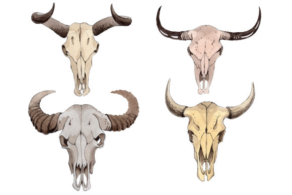 Cow Skull Watercolor Illustrations Review