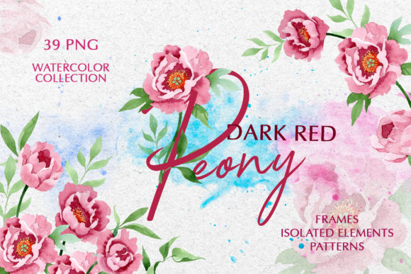 Dark Red Peony Watercolor Png & Illustrations