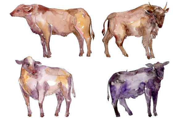 Farm Animals Bull Watercolor: A Designer Review