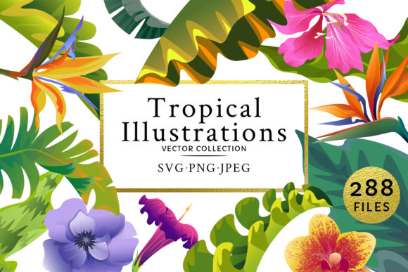 Flowers Tropical Illustration Pack Watercolor Review