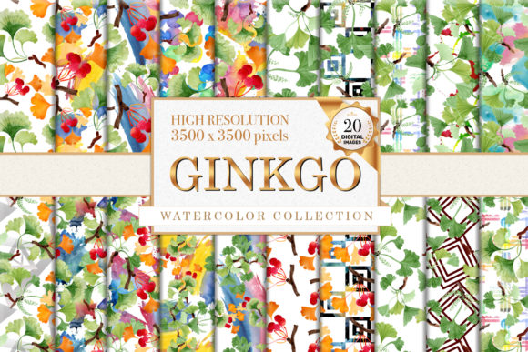 Ginkgo Watercolor Illustrations Review