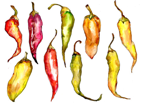 Green and Yellow Pepper Vegetables Watercolor Set