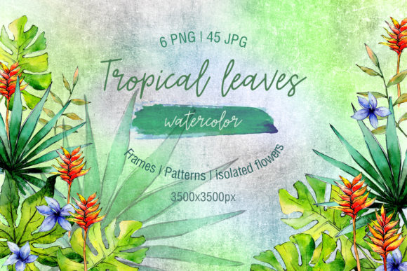 Green Tropical Leaves PNG Watercolor Set Review