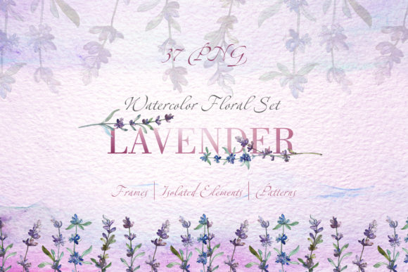 Lavender Violet Watercolor Png & Illustrations