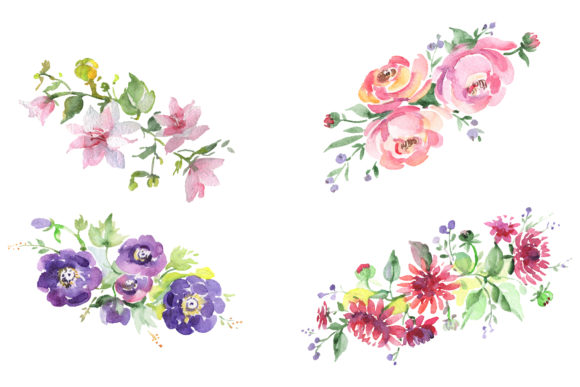 Mars Bouquet Watercolor: Illustrations Review
