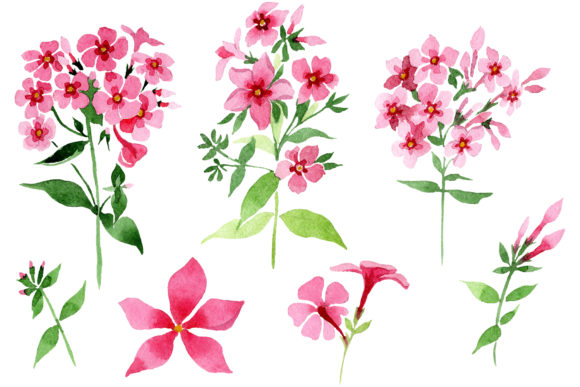 Phlox Pink Watercolor: A Designer's Stitch Review
