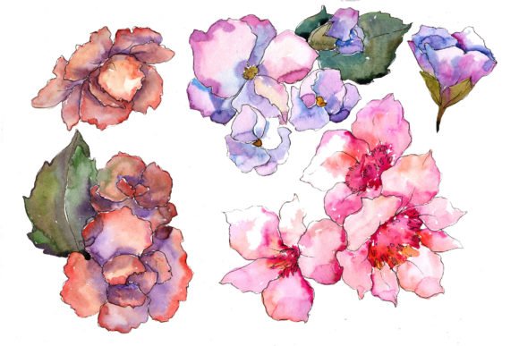 Pink Flower Gardenia Watercolor Set Review