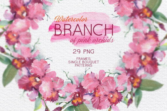 Pink Orchids Watercolor Png: Premium Illustrations