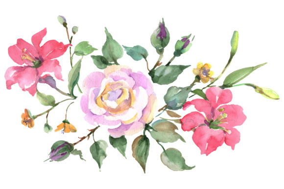 Pink Rose Watercolor Png & Illustrations