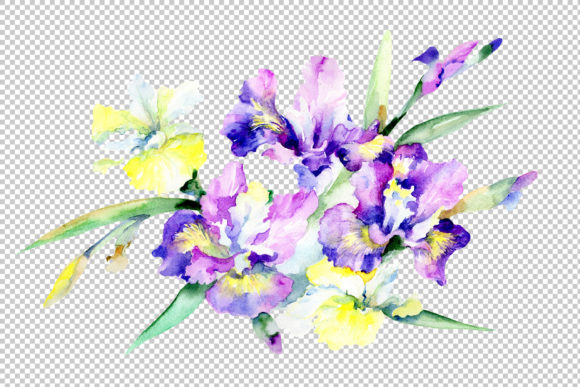 Purple Bouquet Flowers PNG Watercolor Set Review