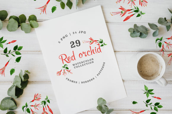 Red Orchid Watercolor: A Seller's Review
