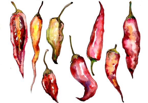Red Pepper Vegetables Watercolor Set Review