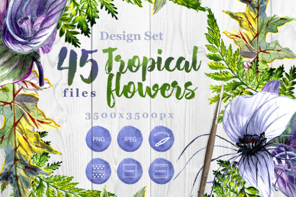 Tropical Flowers PNG Watercolor Set Review