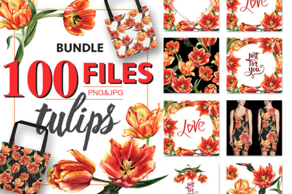 Tulip Red PNG Watercolor Flower Set & Illustrations