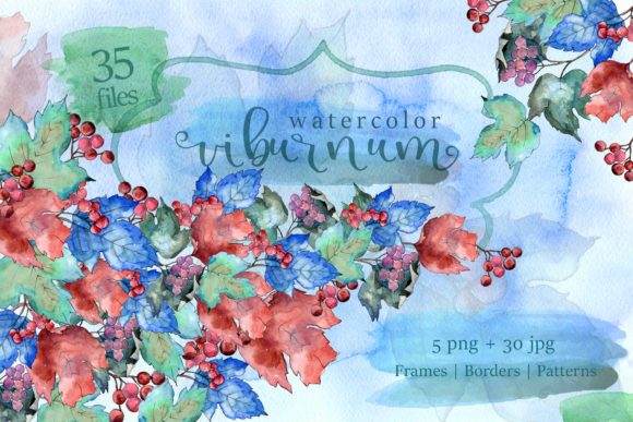 Watercolor Viburnum PNG Leaves Set & Illustrations