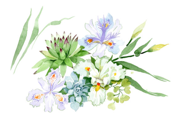 White Irises Watercolor Illustrations for Brands