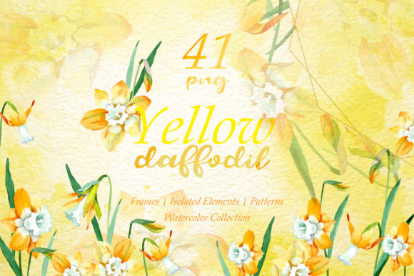 Yellow Daffodil Watercolor Illustrations Review