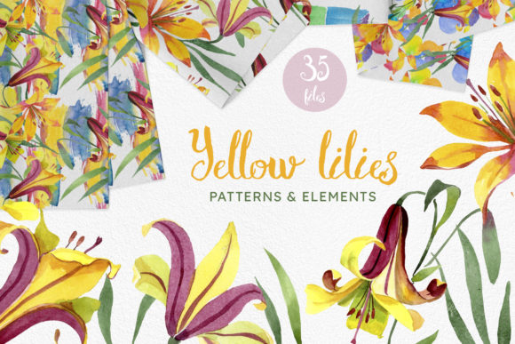 Yellow Lily Flowers Watercolor Png Review